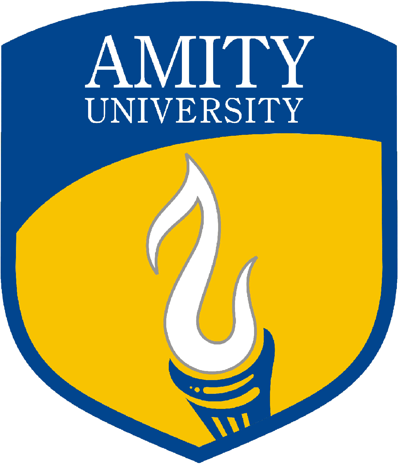 Amity University Online